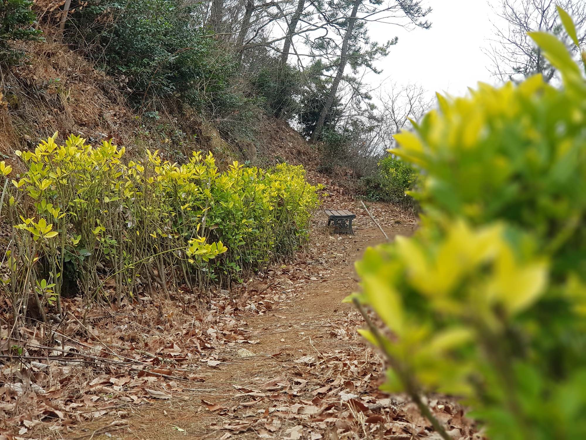 산/ 산공원 이미지 /무료다운로드 이미지