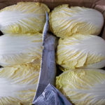 배추/cabbage