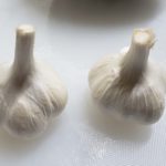 마늘/garlic