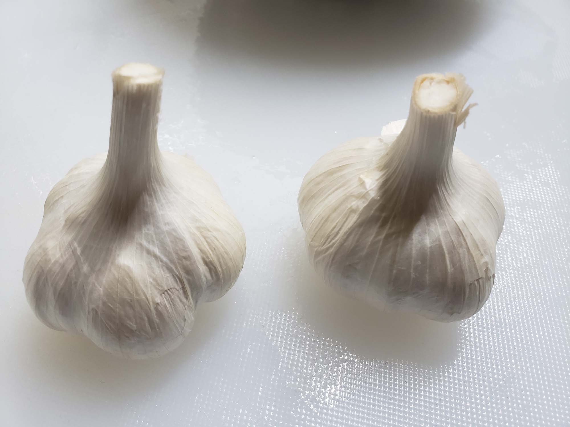 마늘/garlic