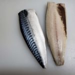 고등어 Mackerel 2
