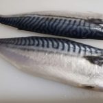 고등어 Mackerel