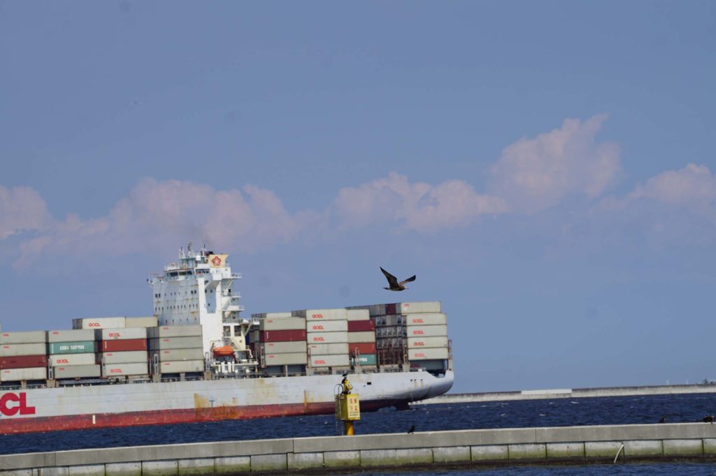 바다풍경/무역 콘테이너선 /Sea and Trade container ship