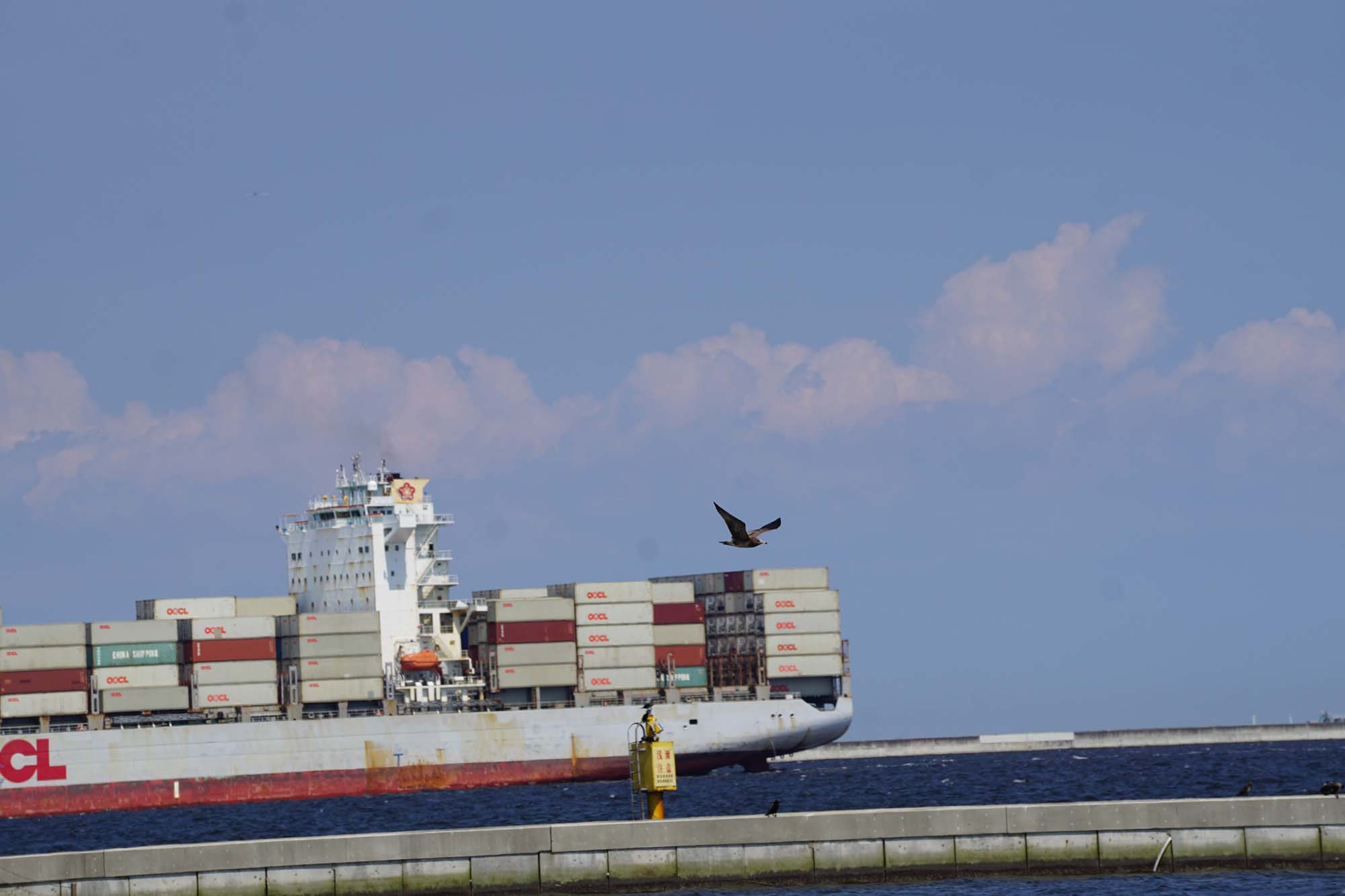 바다풍경/무역 콘테이너선 /Sea and Trade container ship