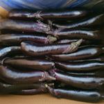가지 /eggplant