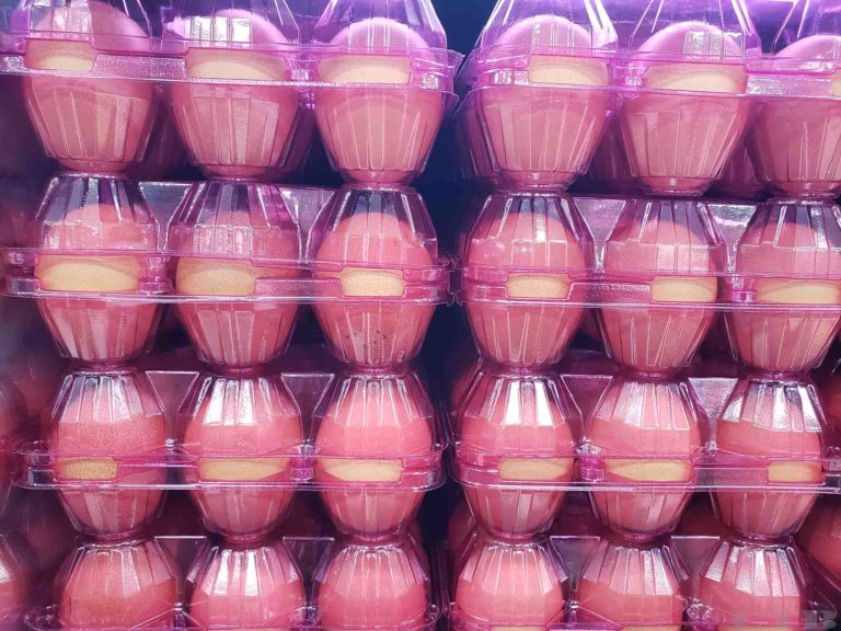 무료다운로드 이미지 계란