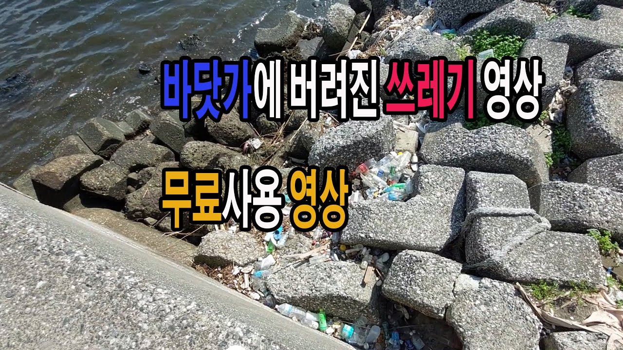 바다에 버려진 쓰레기 모습 영상 /무료영상 /바닷가 쓰레기